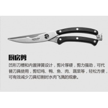 德世朗（DESLON）刀具 套装刀礼盒 菜刀勃兰登堡五件套刀 BL-TZ005-5