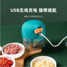 LEASY 领致小型电动捣蒜器绞肉蒜蓉机打蒜神器 家用蒜泥器迷你辣椒搅碎机无线拉蒜器宝宝辅食机婴儿料理机便携