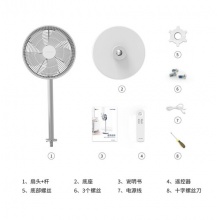 LUFTRUM瑞际电风扇落地家用空气循环扇台式静音摇头遥控电扇F01