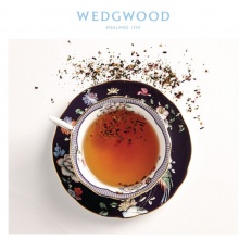 WEDGWOOD玮致活漫游美境杯碟骨瓷欧式咖啡茶杯碟礼盒套装 午夜彩鹤杯碟