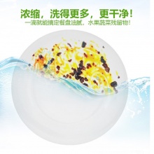 CHANTECLAIR 大公鸡家用厨房餐具清洗浓缩洗洁精500ml