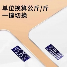 扬子体重秤