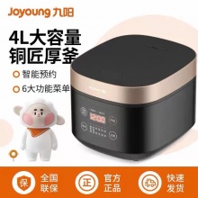 九阳（Joyoung）电饭煲F40FZ-F531（B) 