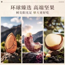 臻味环球优品高档坚果礼盒
