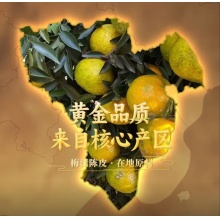 懂润新会陈皮金奖纪念礼盒